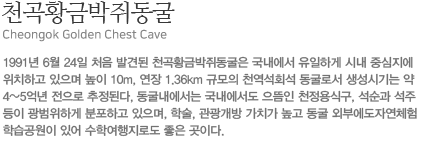 õȲݹ㵿(ڿüн) Cheongok Golden Chest Cave